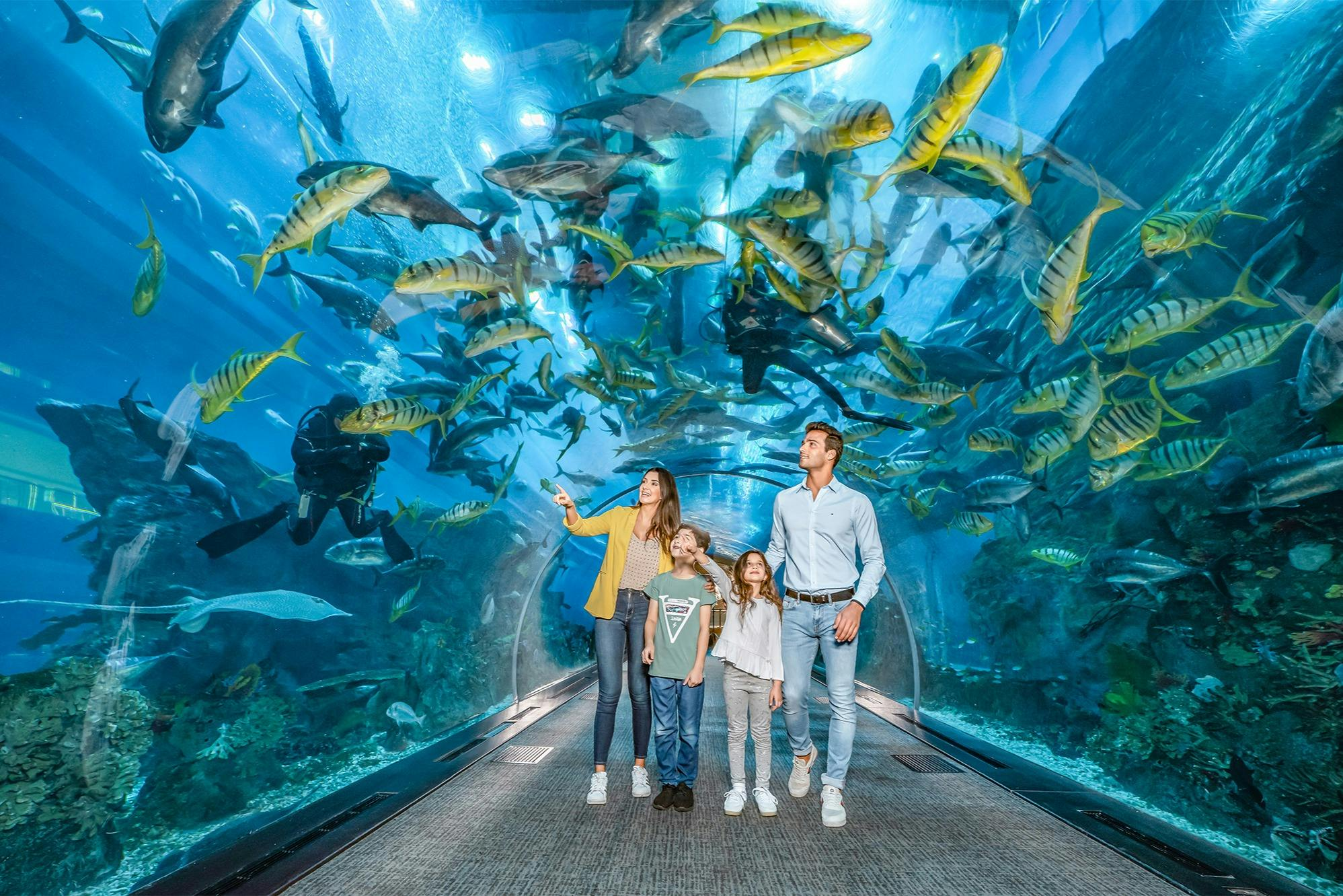 Dubai Aquarium & Underwater Zoo: Gold Pass - Photo 1 of 7